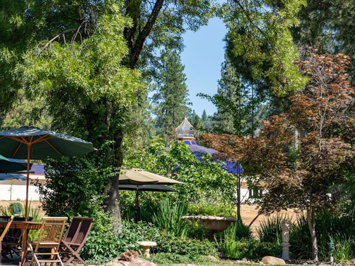 Best Yoga Retreats in Northern California 