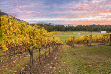 day trip to winery melbourne