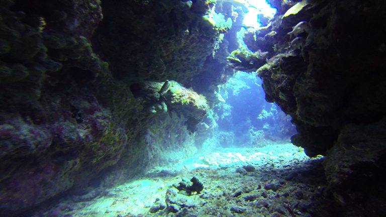 Grand Cayman: Diving into an enchanted Caribbean world