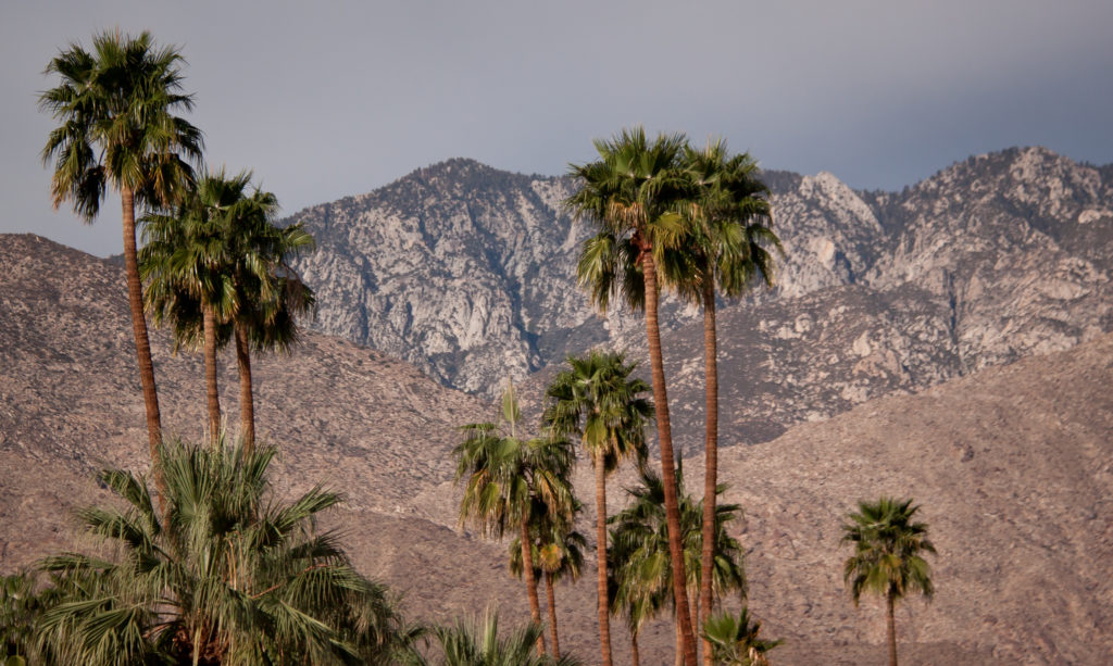 12-unique-things-to-do-in-palm-springs-california