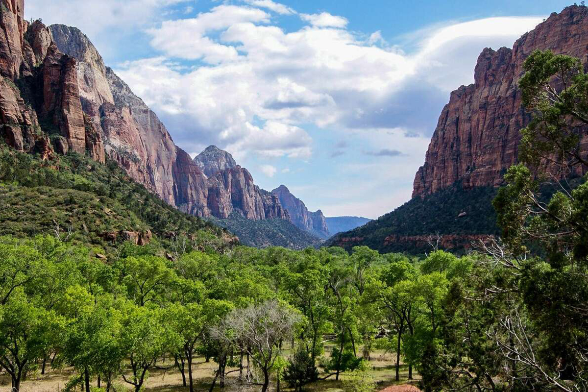 zion national park tours for families