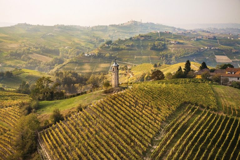 10 of the Best Wineries to Visit in Piedmont, Italy