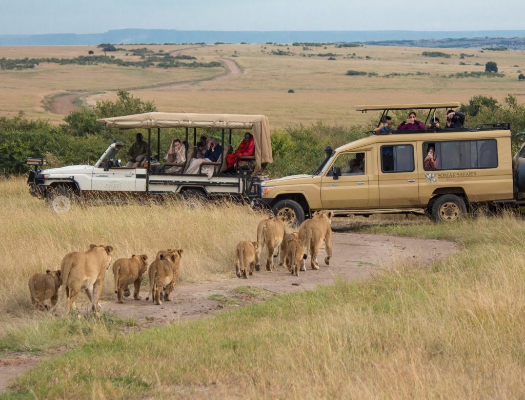 Kenya: A Short Guide to Masai Mara Safaris