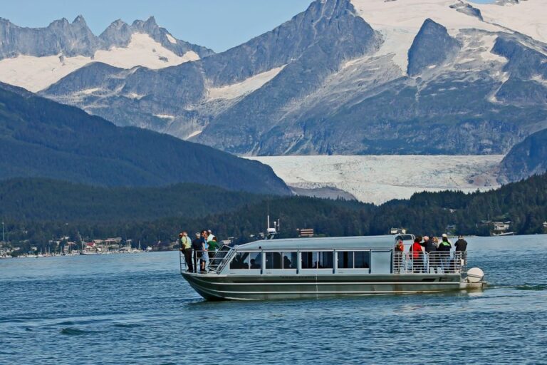 3 of the Best Juneau Whale Watching Tours