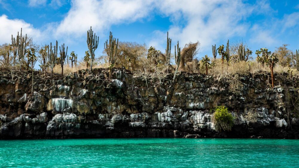 galapagos trip from quito