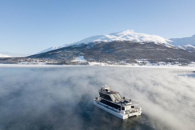 best northern lights tour tromso