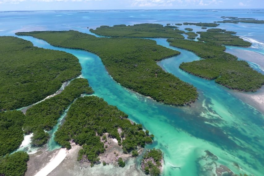 fun tours in key west